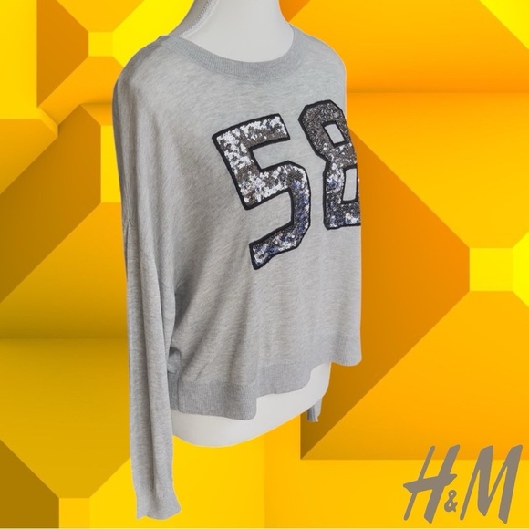 H&M Light Gray Sweater with Sequin 58 - Picture 3 of 8